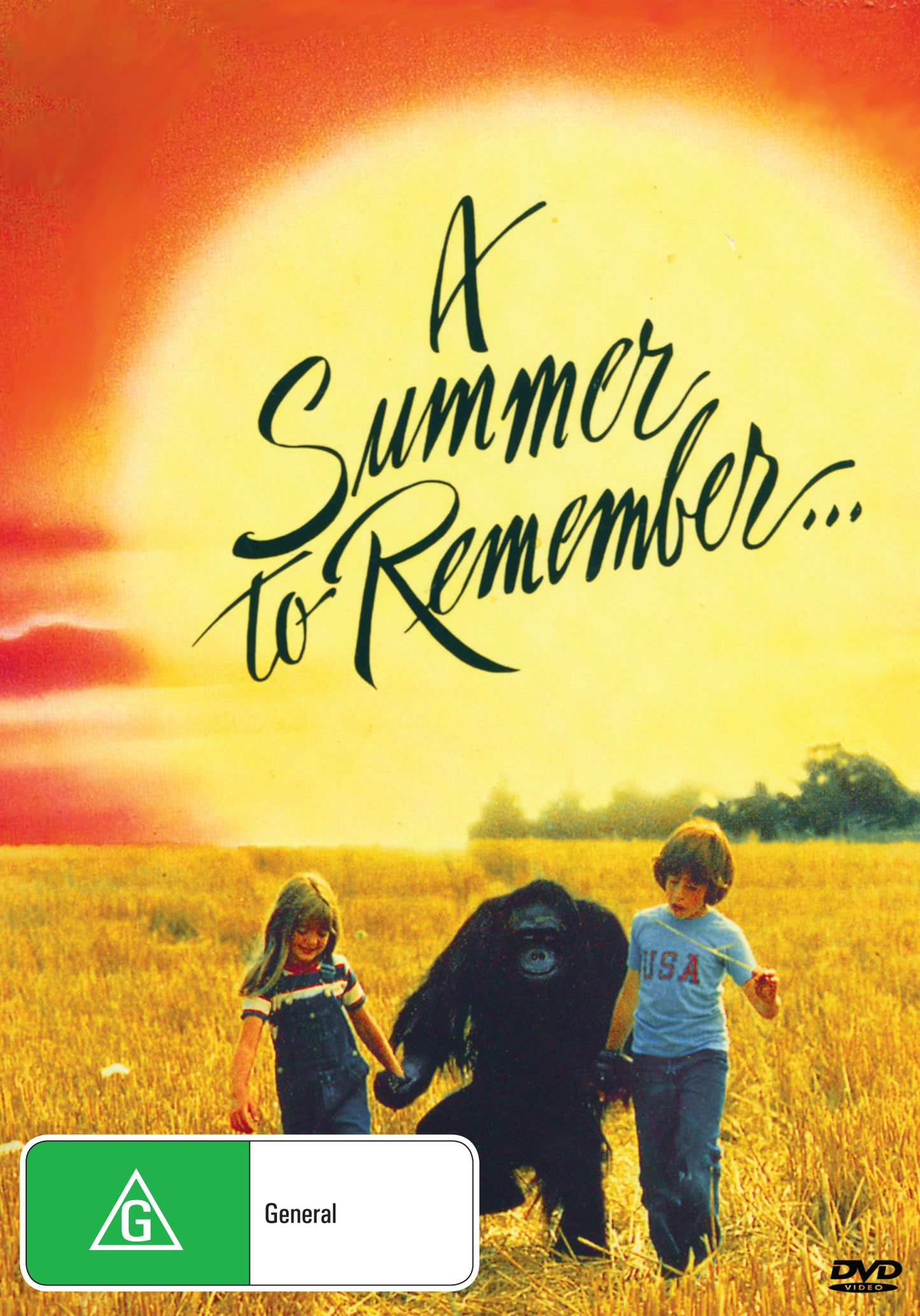 Buy Online A Summer to Remember (1985) - DVD - James Farentino, Louise Fletcher | Best Shop for Old classic and hard to find movies on DVD - Timeless Classic DVD