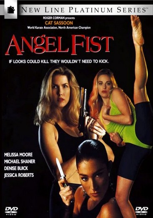 DVD cover of Angelfist, an action movie featuring Catya Sassoon and Melissa Moore, from FilmClassicsOnDVD.