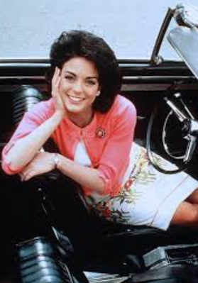 A Dream Is a Wish Your Heart Makes: The Annette Funicello Story on DVD